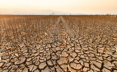 'Another stark warning': Four billion people endured extra month of extreme heat over past year
