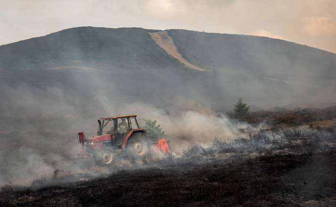 Burnham, SFI, heatwave, plant-based councils, and wildfires – our readers' top stories online this week 