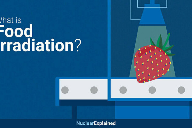 What is Food Irradiation and Why is it Important