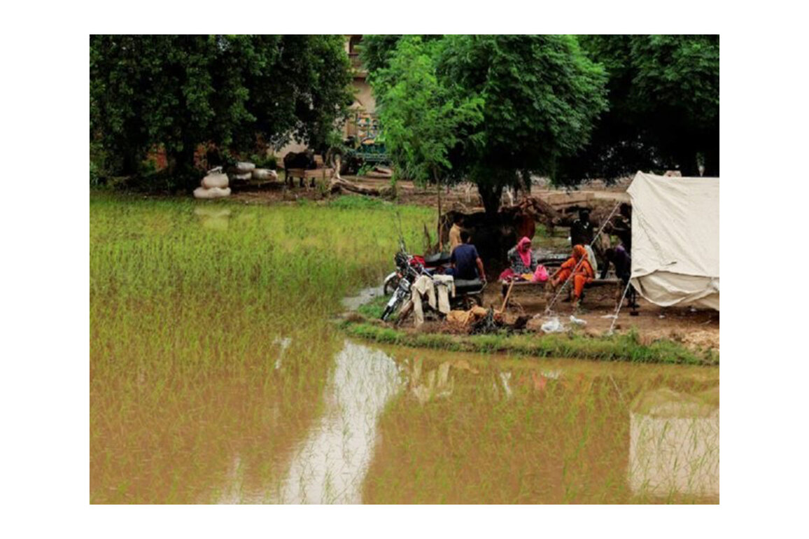 Death toll from floods climbs to 1006 in Pakistan