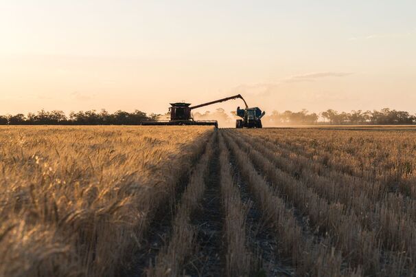 Bendigo Bank has estimated this season's national winter crop production at 54.6mt.