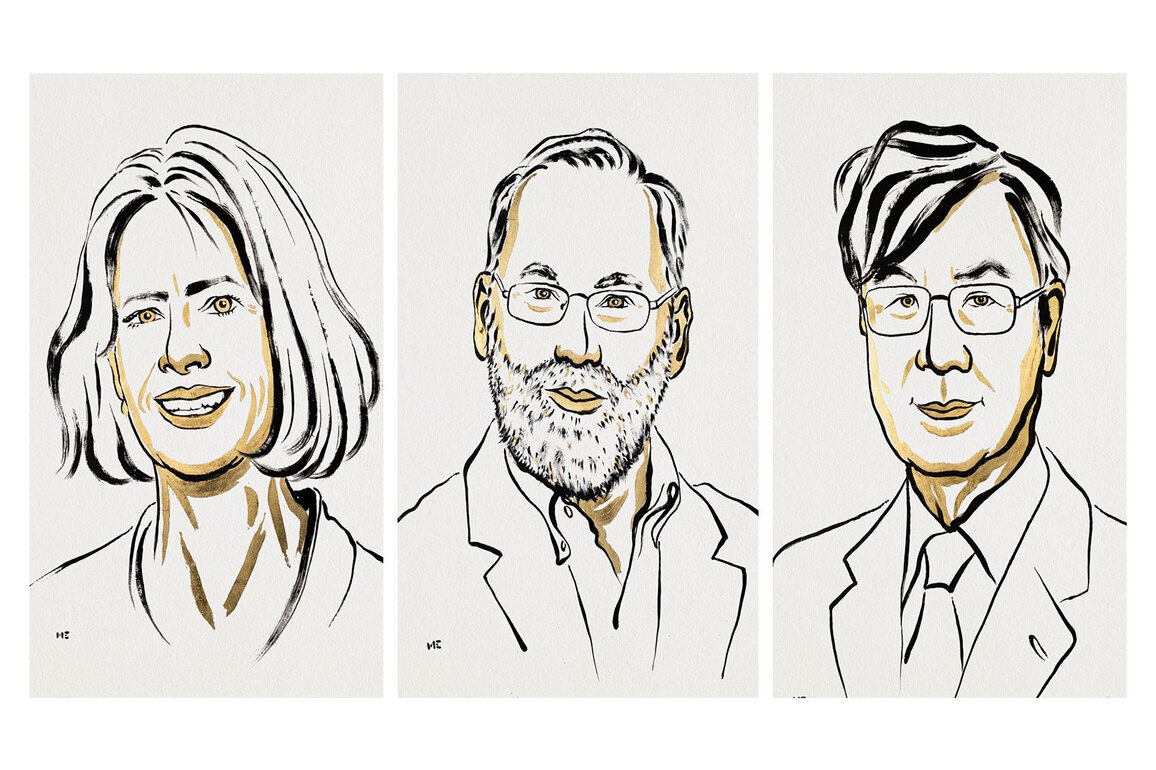 Nobel Prize 2025 awarded to US and Japanese scientists for immune tolerance research