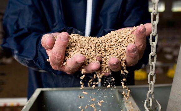 Moy Park receives UK first soyabean sustainability standard