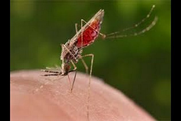 Researchers find cause behind birth defects due to Zika virus
