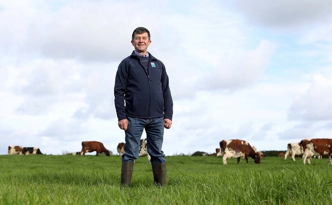What are the real drivers of sustainability within a dairy farming business?