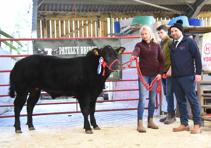 Steer champion from Messrs Ewbank