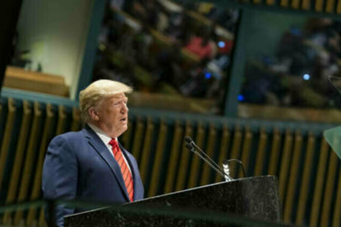 Trump and Zelensky meet at UN: As it happened