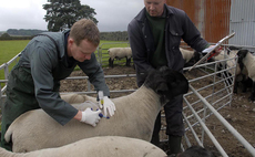 Call for farmers to test Annual Health and Welfare Review