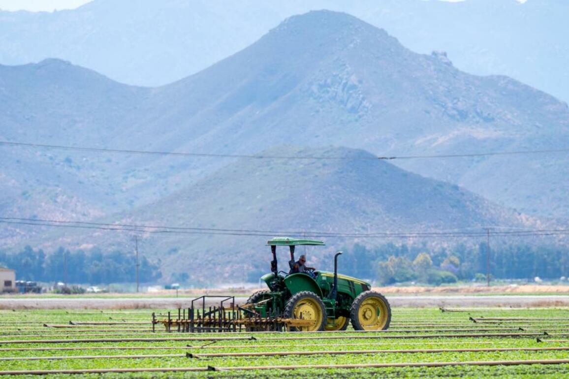 Eerie silence hangs over Central Coast farm fields in wake of ICE raids