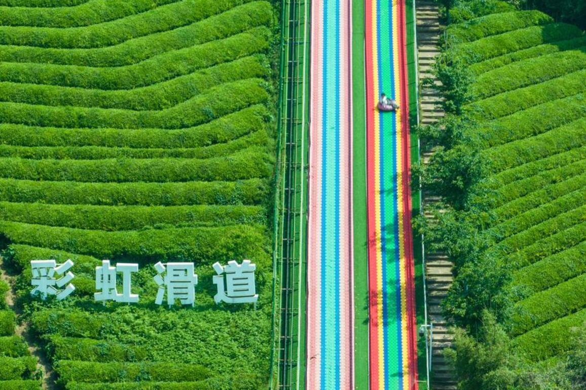 ZhejiangPictorial | New rural tourism initiatives in Hangzhou inject vitality into spring economy