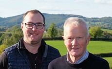 Northern Irish dairy farm experiments with clover mixes