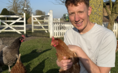 Local egg finder map helps crack down on food miles