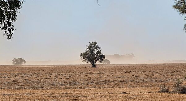 Wind erosion risk remains closely tied to groundcover levels, with bare or lightly covered soils most vulnerable to particle movement and dust loss.