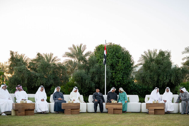 UAE and Indonesia Presidents discuss ways to enhance bilateral ties