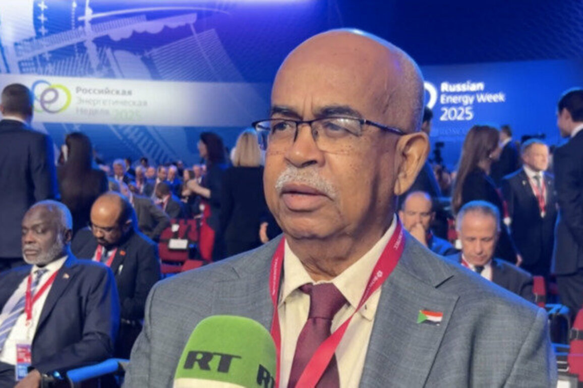 Russia among top options for Sudan energy sector rebuild  minister