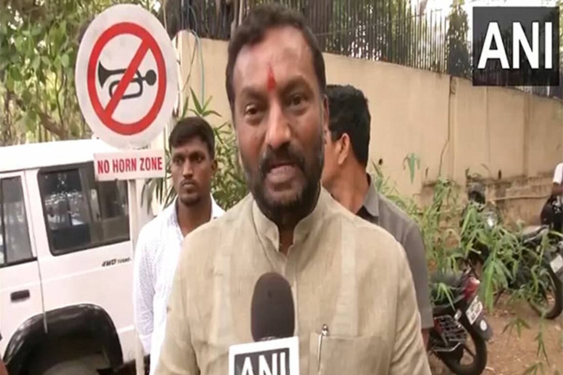 "Come forward to deport all illegal immigrants": BJP's Raghunandan Rao
