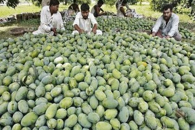 US, China decline Pakistan's 'Mango diplomacy'