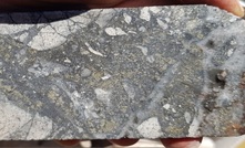  Core from Radius Gold’s Amalia gold-silver project in Mexico 