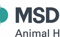 MSD Animal Health