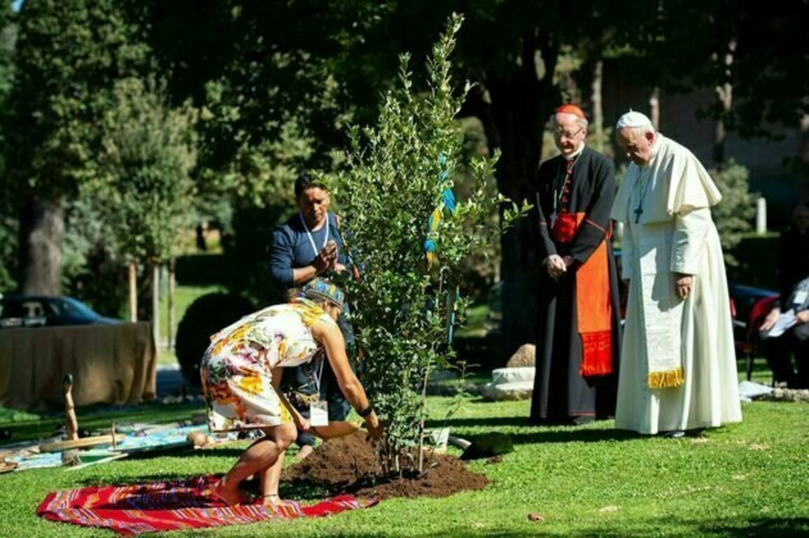 Three ways Pope Francis influenced the global climate movement