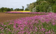 The Farmers Guardian arable podcast: What do the latest SFI actions mean for arable farmers?