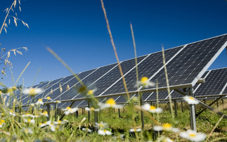 Downing unveils plans for 750MW solar and battery project in Lincolnshire