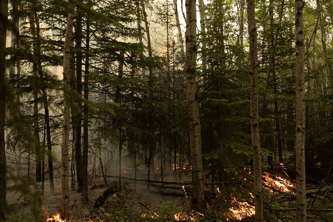 Wildfire updates- 26 Alberta blazes deemed out of control