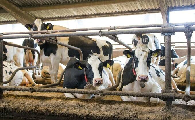 Three main challenges facing the future dairy business