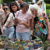NEW ZEALAND-AUCKLAND-PLANT MARKET