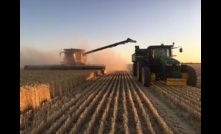  The previous CBH grain receival record was smashed yesterday with more grain still to be delivered. Picture by Macey Hill 