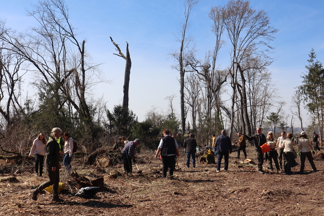 SLOVENIA-APACE-INTERNATIONAL FOREST DAY