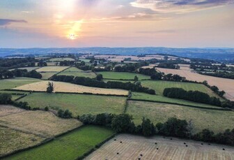 Welsh farmers warned 'no room for complacency' over bluetongue