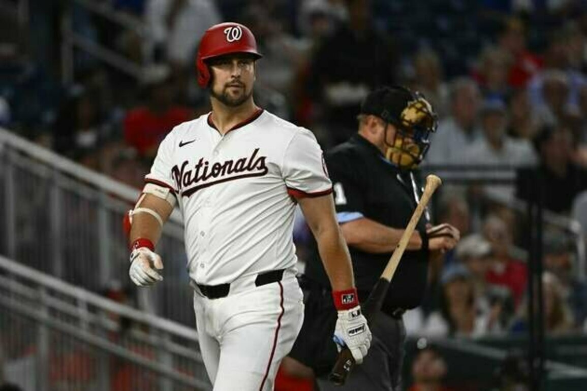 Nationals request release waivers on 1B Nathaniel Lowe