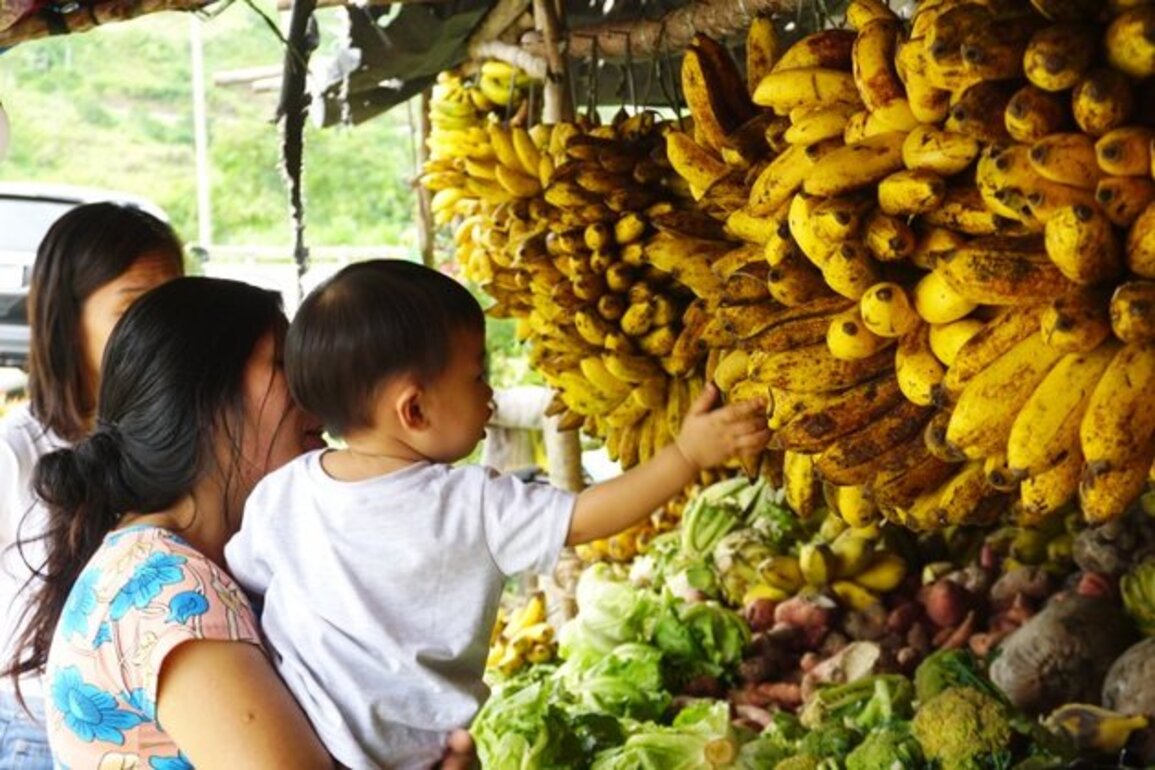 NNC promotes balanced nutrition in food pack distribution