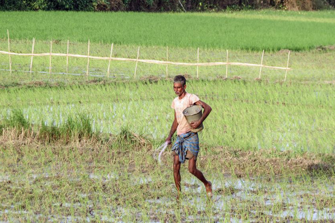 Agri sector companies likely to report soft Q3FY26 performance due to seasonal factors: Nuvama