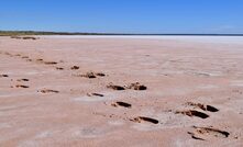  Lake Mackay is the 4th largest salt lake in Australia