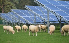 Farmers look to renewables