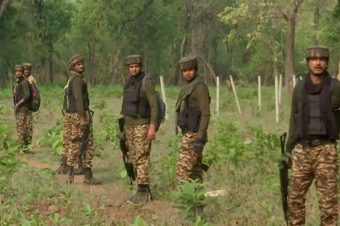 Chhattisgarh: Security forces launch Operation Black Forest 2 against naxals in Karreguttalu hills