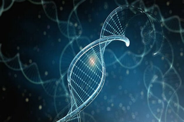 Research: Mitochondrial DNA mutations associated with heart disease risk