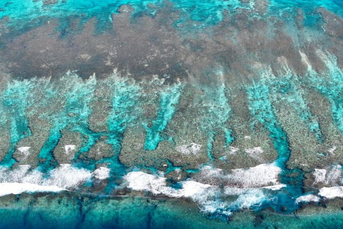 InPics | A glimpse of stunning ecological scenery in South China Sea