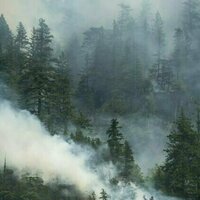 AI-generated misinformation can create confusion and hinder responses during emergencies
