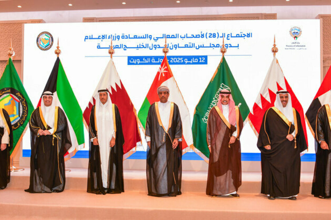 UAE calls for binding standards to protect Gulf values
