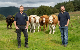 Virtual fencing project sees hill land flourish on Scottish monitor farm