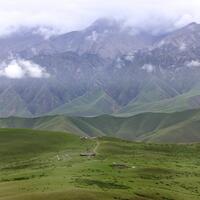 China to establish Central Asia plant database to boost biodiversity conservation