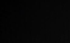 Timeline set for ban on lead shot ammunition