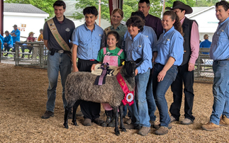 US sheep event attracts exhibitors from worldwide 