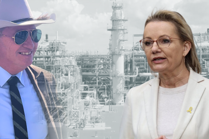 Barnaby Joyce is causing party leader Sussan Ley a headache