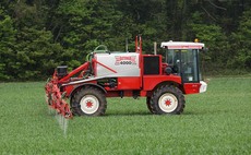 How to optimise milling wheat nitrogen use efficiency in a dry season
