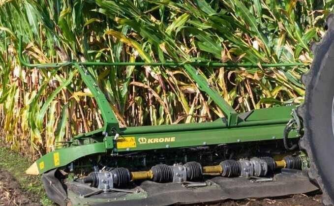 Managing European Corn Borer: Metal for maize pest
