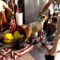 Security stepped up at New Delhi Railway Station ahead of Independence Day